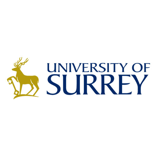 Client University of Surrey